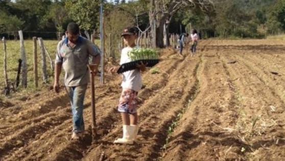 #Brasil: una granja de EdC para conjugar oportunidades y vulnerabilidades