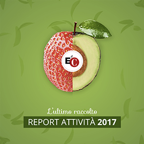 Rapporto Edc 2017