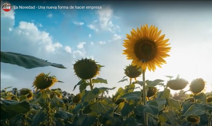 #Argentine - La Novedad, une entreprise « nouvelle »